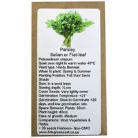 6 Degrees East Heirloom Herb Seeds - Parsley - Italian Plain Flat Leaf